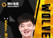 九游VIP-狼队上演绝地逆袭，球迷欢呼连连！的简单介绍